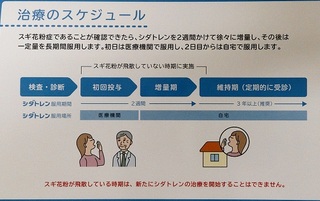 シダト2.jpg