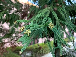 IMG_0073.jpg