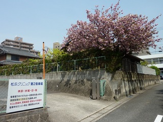 P1020809.JPG