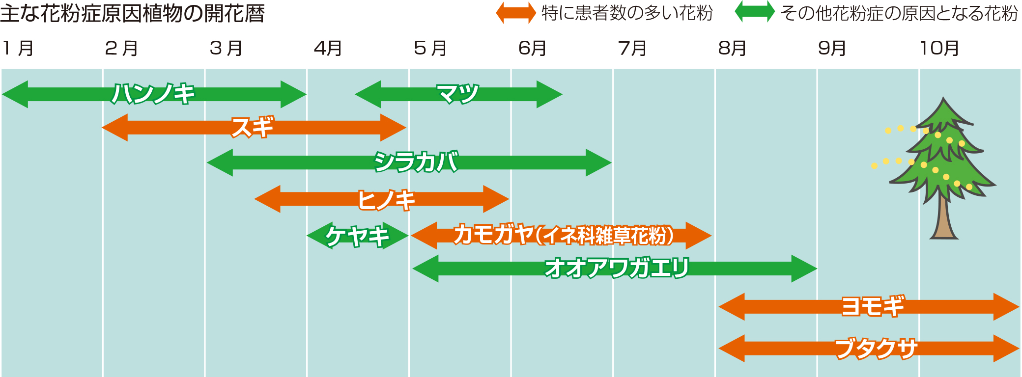 主な花粉症原因植物の開花暦